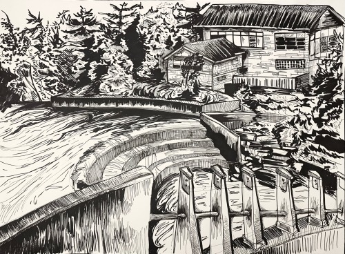 A black and white illustration of Beebe Dam in Ithaca, New York. The surrounding trees and foliage are visible in the background, along with a building. 